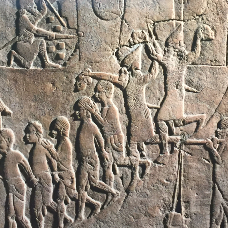 PROTO NFC frame 4 pixes