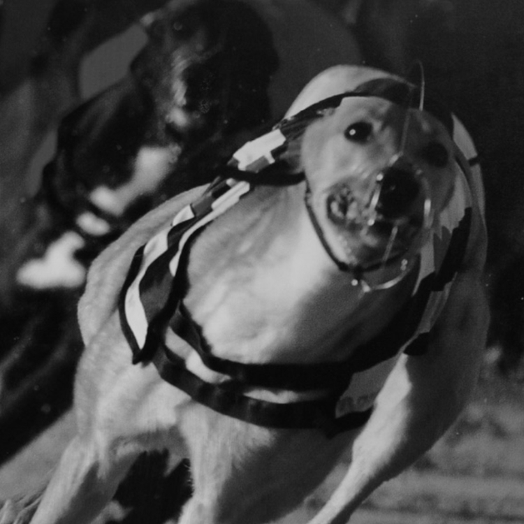 PROTO NFC frame 4 pixes