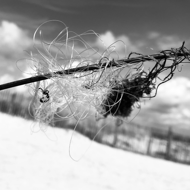 PROTO NFC frame 4 pixes