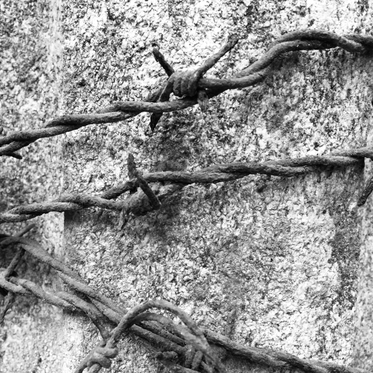 PROTO NFC frame 4 pixes